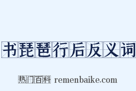 书琵琶行后反义词是什么意思的图片